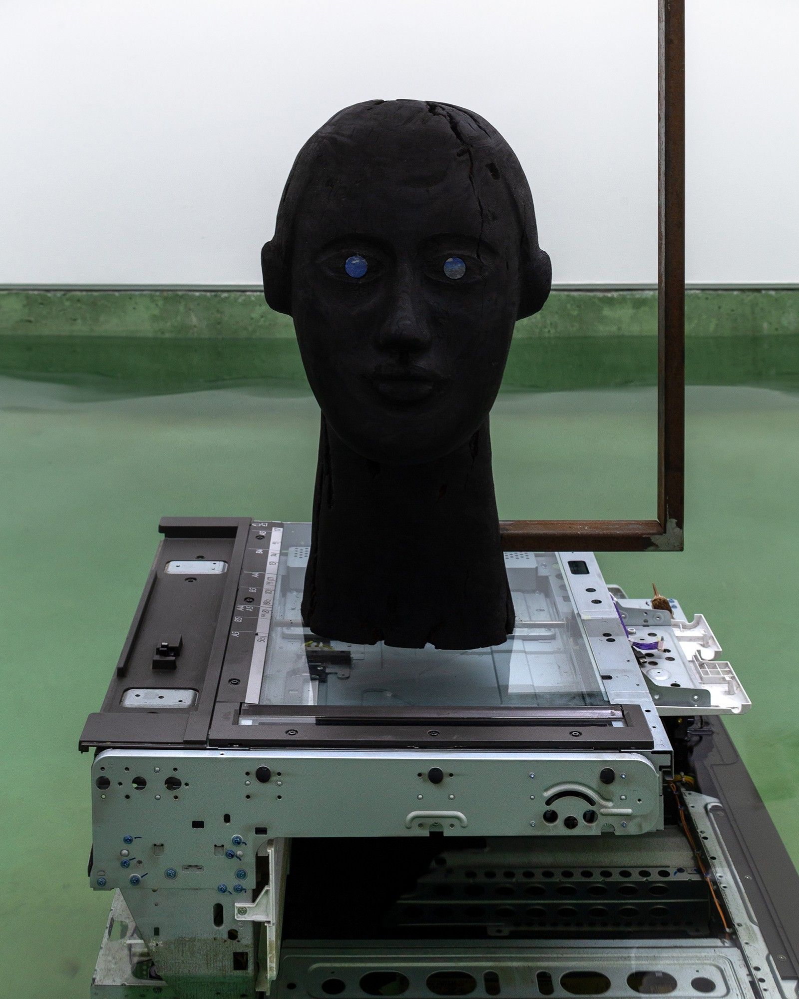 Primer plano de la cabeza negra de ojos azules sobre un escáner o impresora en el agua