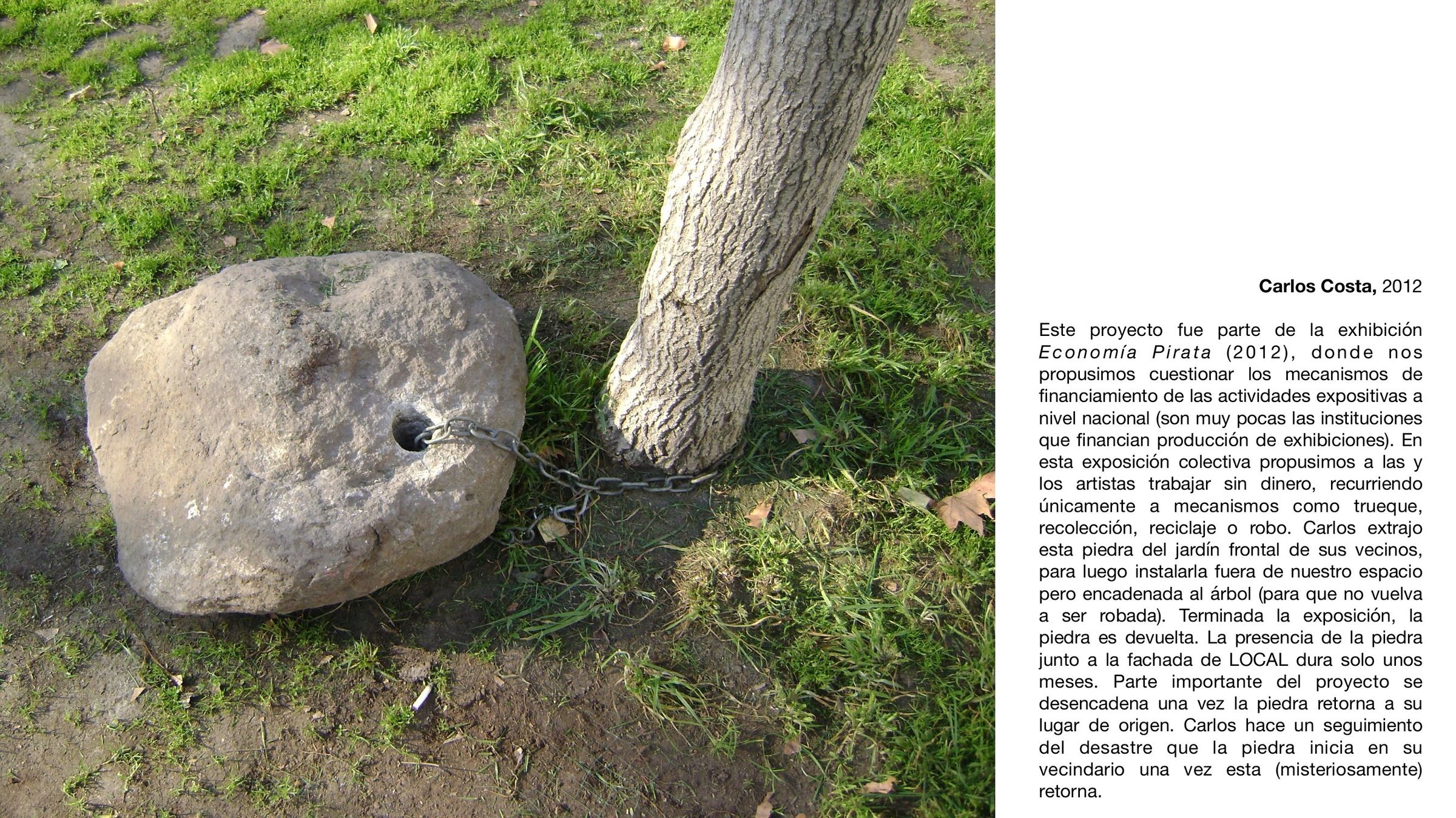 Página 5 de 19. Carlos Costa, 2012, una piedra encadenada a un árbol frente a LOCAL, en la exhibición Economía Pirata