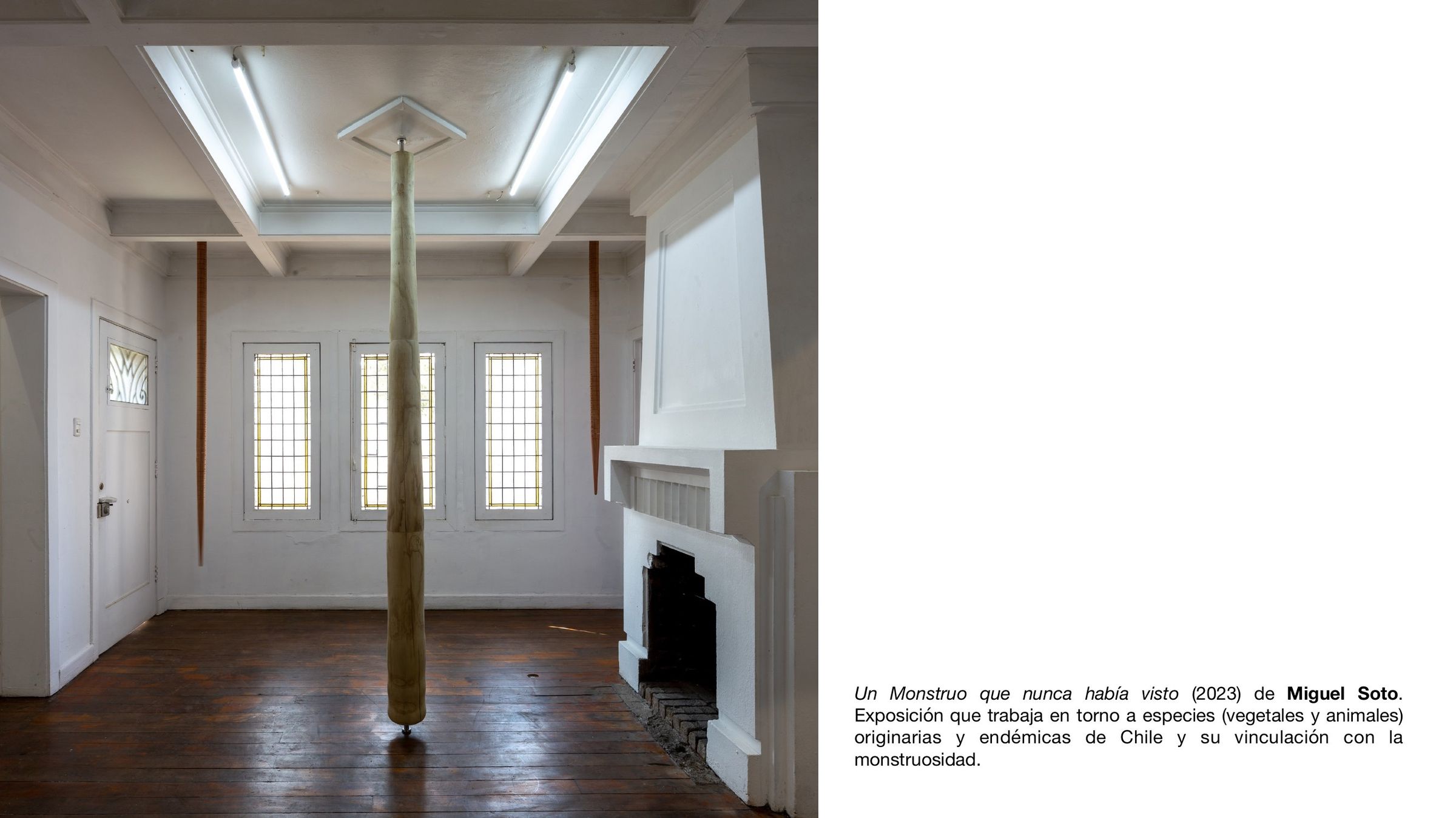 Página 13 de 19. Miguel Soto, Un monstruo que nunca había visto, 2023, tronco vertical en una sala blanca