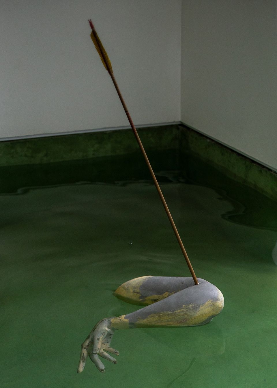 Brazo gris y amarillo en el agua con una flecha